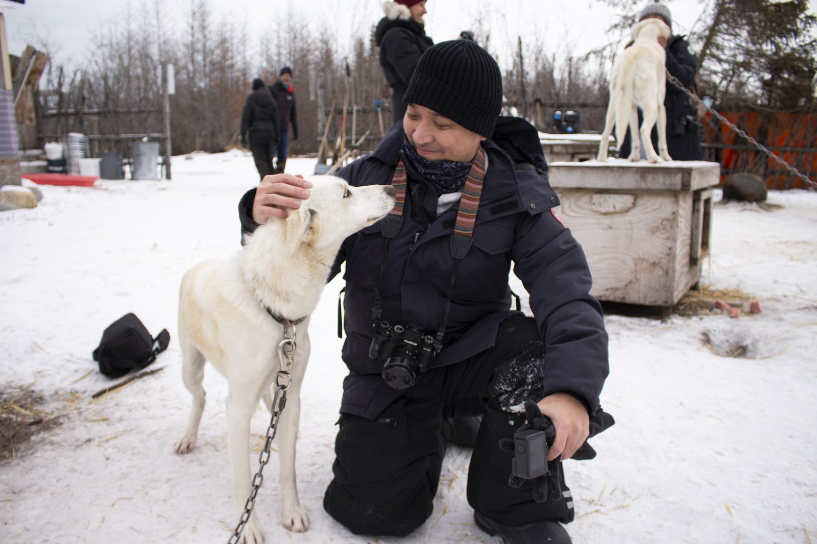 A visitor in a heavy parka kneeling in the snow of the dog yard, resting a hand on the head of a cream-coloured sled dog that is leaning in toward him.